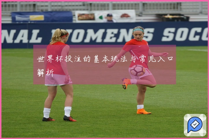 世界杯投注的基本玩法与常见入口解析
