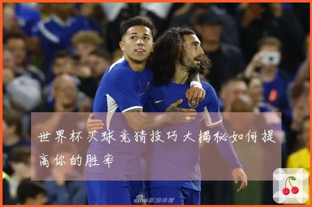 世界杯买球竞猜技巧大揭秘如何提高你的胜率