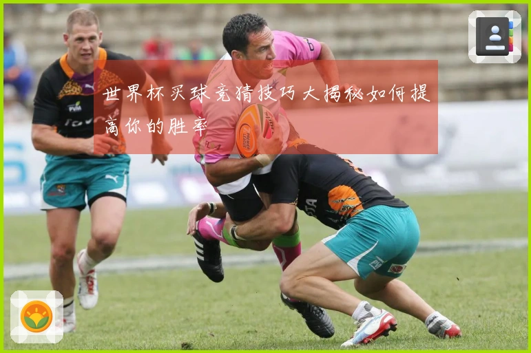 世界杯买球竞猜技巧大揭秘如何提高你的胜率