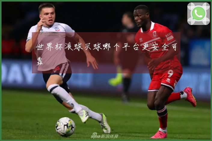 世界杯滚球买球哪个平台更安全可靠