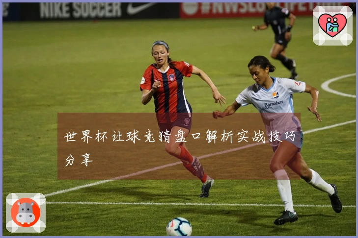 世界杯让球竞猜盘口解析实战技巧分享