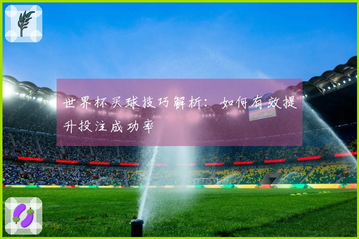 世界杯买球技巧解析：如何有效提升投注成功率
