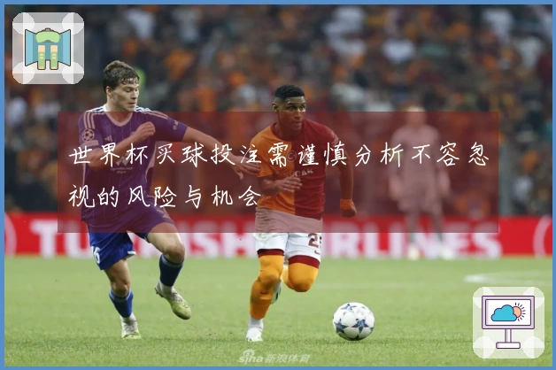 世界杯买球投注需谨慎分析不容忽视的风险与机会