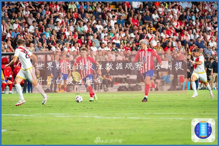 世界杯竞猜投注数据观察：如何提升你的投注胜率