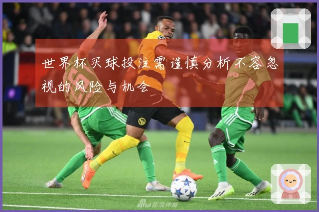 世界杯买球投注需谨慎分析不容忽视的风险与机会