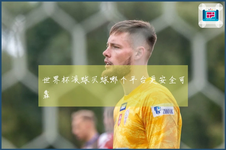 世界杯滚球买球哪个平台更安全可靠
